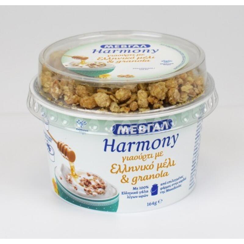 ΜΕΒΓΑΛ Harmony Επιδόρπιο Γιαουρτιού 1 Μέλι και Granola 164gr Market In